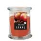Ароматна свещ в съд Spaas, ябълка и канела  - 208609
