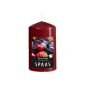 Ароматна свещ цилиндър Spaas 6/10 см, горски плодове - 208612