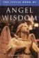 The Little Book of Angel Wisdom - 74511