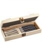 Комплект ножове за стек в дървена кутия Gefu Basco - 249149