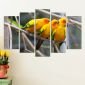 Декоративeн панел за стена с тройка екзотични жълти птици Vivid Home - 59552