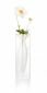 Стъклена ваза Philippi  Esmeralda - XS размер - 180830