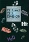 Cell and cell division - 94239