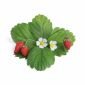 Подаръчен сет с 4 бр. пълнители Lingot® и четчица за опрашване VERITABLE Strawberries - 228827