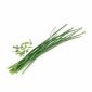 Семена 'Див лук (Шивес)' VERITABLE Lingot® Chives Organic - 230724