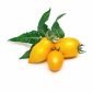 Семена жълти мини домати VERITABLE Lingot® Yellow Mini-Tomato - 239067