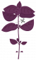 Семена 'Лилав Босилек' VERITABLE Lingot® Purple Basil Organic - 230705