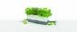 Самополиваща се кашпа за зелени подправки или цветя Cole & Mason - 151351
