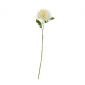 Декоративно растение ASA Selection 'хризантема' 53 см - 165574