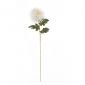 Декоративно растение ASA Selection 'хризантема' 90 см - 165598