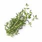 Семена Мащерка VERITABLE Lingot® Thyme Organic - 224034