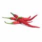 Семена Люто Чили Кайен VERITABLE Lingot® Cayenne hot chili - 224534
