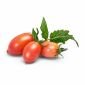 Семена Розови Мини Домати VERITABLE Lingot® Pink Mini-Tomato - 224544