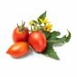 Семена Червени чери домати VERITABLE Lingot® Red Cherry tomato - 224547
