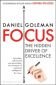 Focus : The Hidden Driver of Excellence - 251928