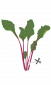 Семена Листа цвекло VERITABLE Lingot® Beet Greens Organic - 224496
