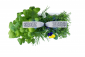 Домашна градина SMART VÉRITABLE® GARDEN - цвят бял/ инокс - 221273