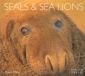 Seals & Sea Lions - 90990