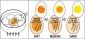 Индикатор за варене на яйца Fackelmann  - 114529