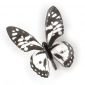 Комплект декорация за стена Umbra Chrysalis - 16 броя пеперуди - 3 размера - 156075