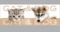 Кошче с педал Meliconi Cat & Dog 5 л - 52891