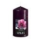 Ароматна свещ цилиндър Spaas 6/10 см, дива орхидея - 208615