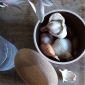 Канистер за чесън с капак Emile Henry Garlic Pot - Ø 14,5 см, бял - 553344