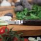 Нож за домати KAI Shun DM-0722, 15 см - 190595