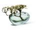 Стъклена ваза Philippi Amara - ниска - 554303