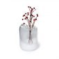 Стъклена ваза Philippi Snow - размер M - 240013