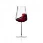 Комплект 2 броя чаши за вино Rona Polaris, 540 мл - 588837