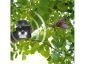 Ултразвуков соларен уред - птицегон Gardigo прогонващ врани, лястовици и други птици - 593343