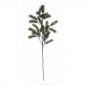 Декоративно растение бор ASA Selection, 76 см - 231816