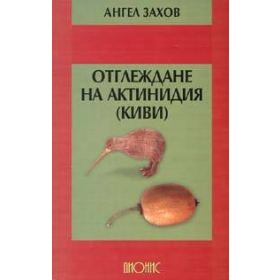 Отглеждане на актинидия /киви/