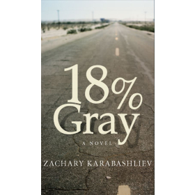18% Gray a Novel