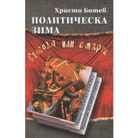 Политическа зима