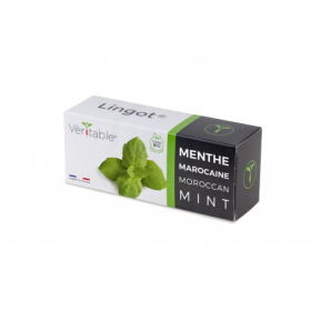 Семена Мароканска Мента VERITABLE Lingot® Maroccan Mint 