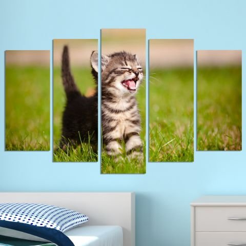 Декоративен панел за стена с малко игриво котенце Vivid Home