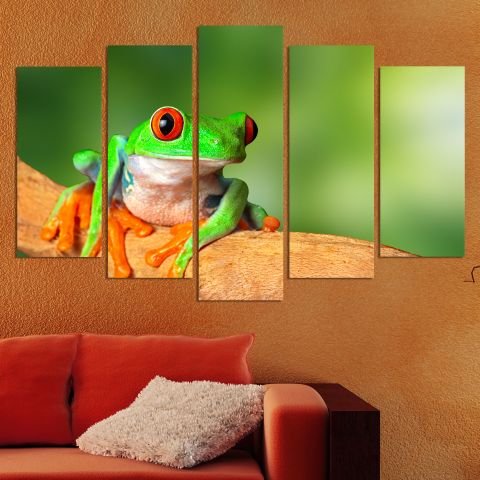 Декоративен панел за стена с цветен зоо мотив - екзотична жаба Vivid Home