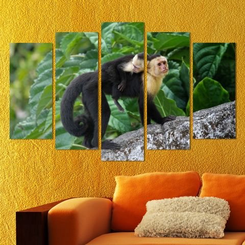 Декоративeн панел за стена с екзотична двойка маймунки Vivid Home
