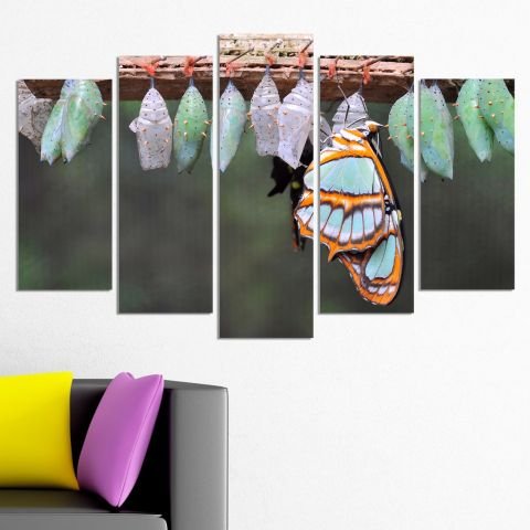 Декоративен панел за стена с пъстроцветна пеперуда и буби Vivid Home