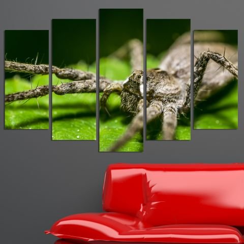 Декоративен панел за стена с екзотичен зоо мотив - тарантула Vivid Home