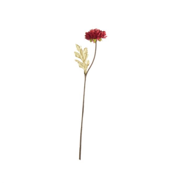 Декоративно растение ASA Selection 30,5 см