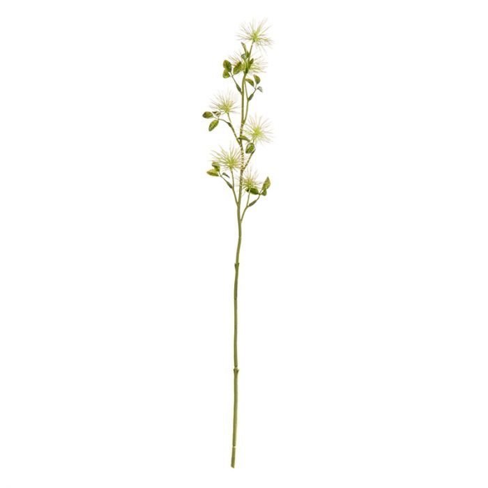 Декоративно растение ASA Selection 53 см