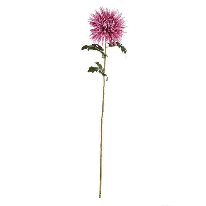 Декоративно растение ASA Selection 'хризантема' 90 см