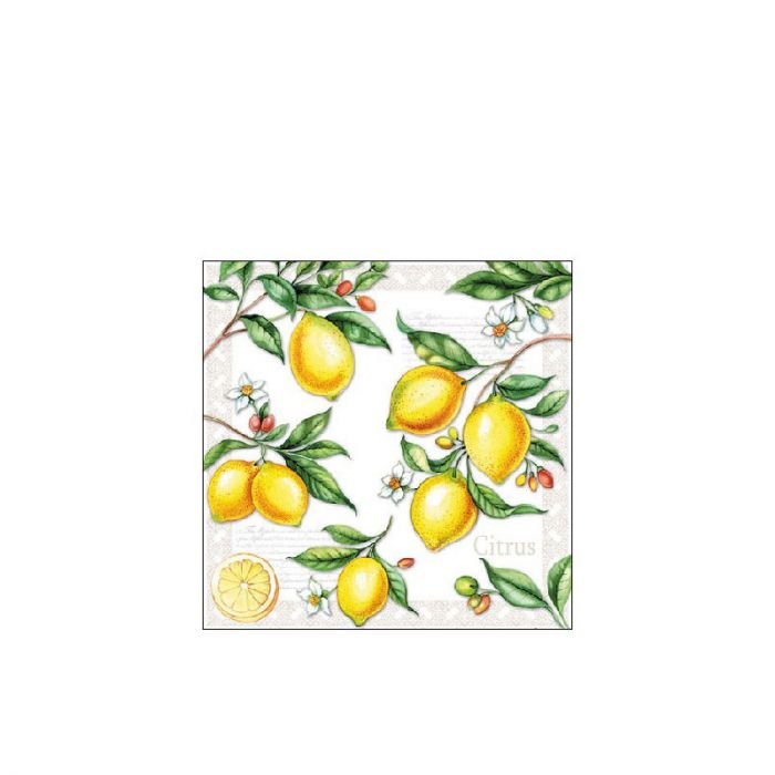 Коктейлна салфетка Ambiente Citrus 25/25 см