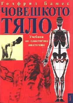 Човешкото тяло: Учебник по пластична анатомия