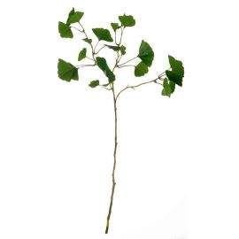 Декоративно растение Гинко ASA Selection, 72 см