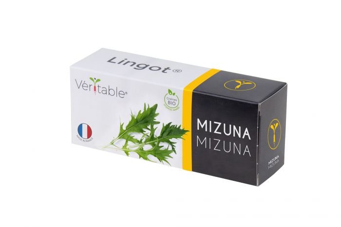 Семена 'Японска салата Мизуна' VERITABLE Lingot® Mizuna Organic