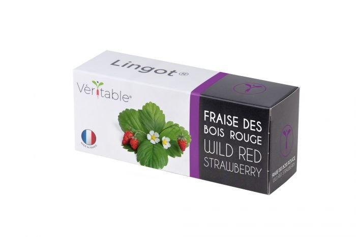 Семена Червени диви Ягоди VERITABLE Lingot® Wild Red Strawberry